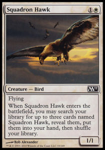 Squadron Hawk