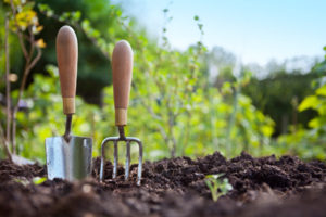 Gardening