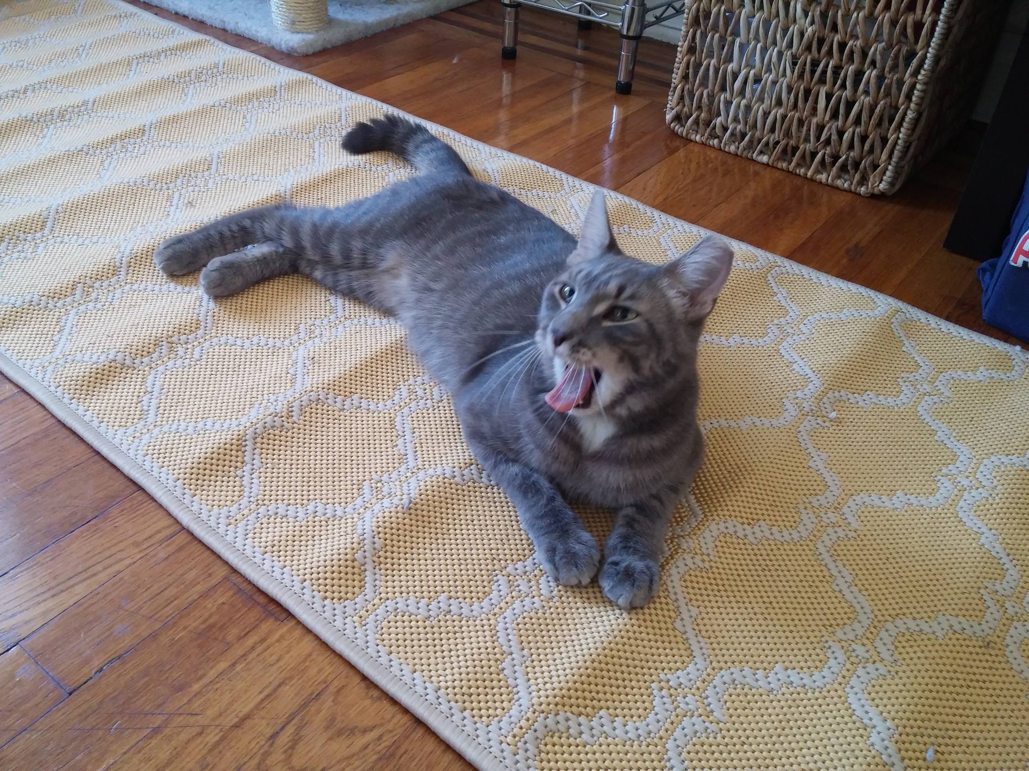 Max Yawning