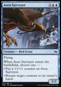 Aven Surveyor