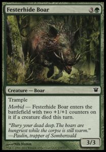 festerhide-boar