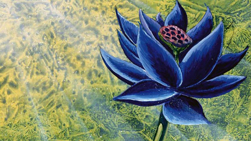 Original Black Lotus Sketches Offered for Sale
