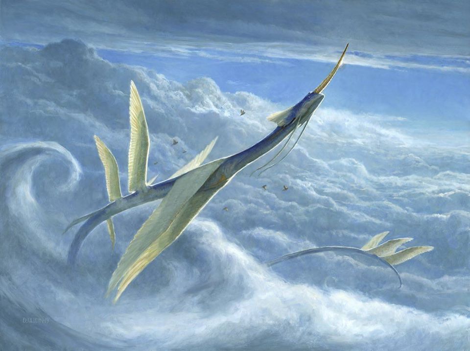 Yorion_Scan.jpg