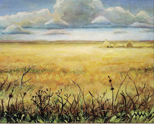 Plains by Matthew Mitchell