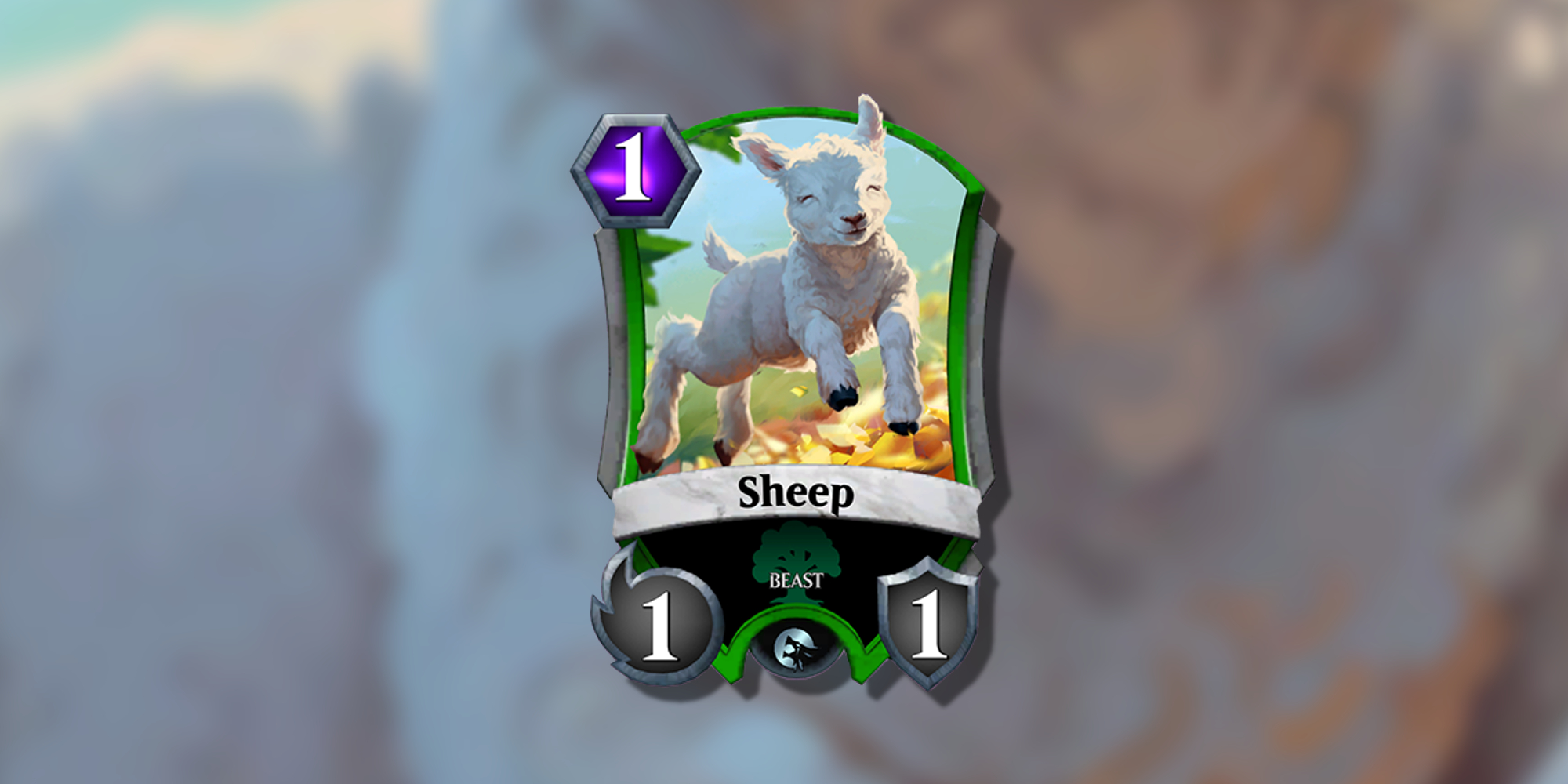 Sheep