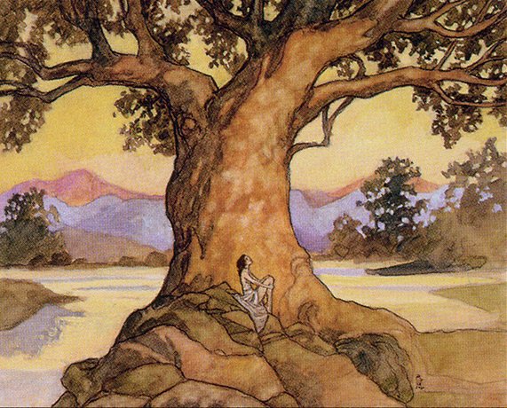 A person sits on rocks beneath a massive tree, looking up into the branches. Their gaze traces the trunk of the tree up into the sky, and the leaves are in the full bloom of summer.