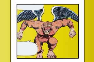 A goggle-wearing man leaps forward at you, wearing a tight-fitting costume. He has short hair, large hands and feet, and bird-like wings coming out of his shoulders.