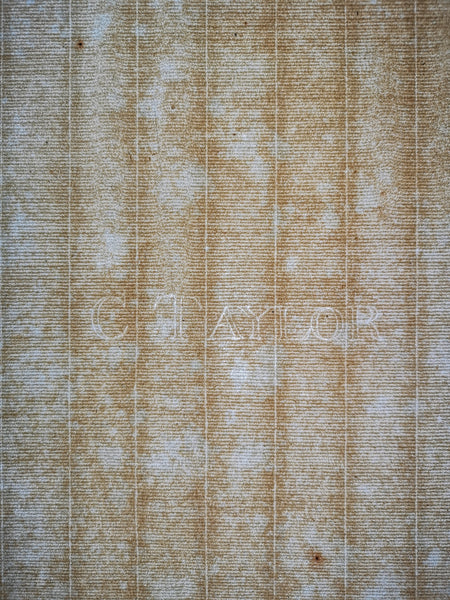 18th-century C TAYLOR paper, backlit to show watermark, from the Vintage Paper Co.
