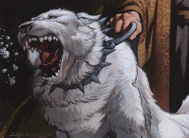 A large dog with a flowing coat barks with sharp teeth bared. They have a muscular build and a collar with protruding spikes. They're being held back by a collar that's held by a robed person behind them.