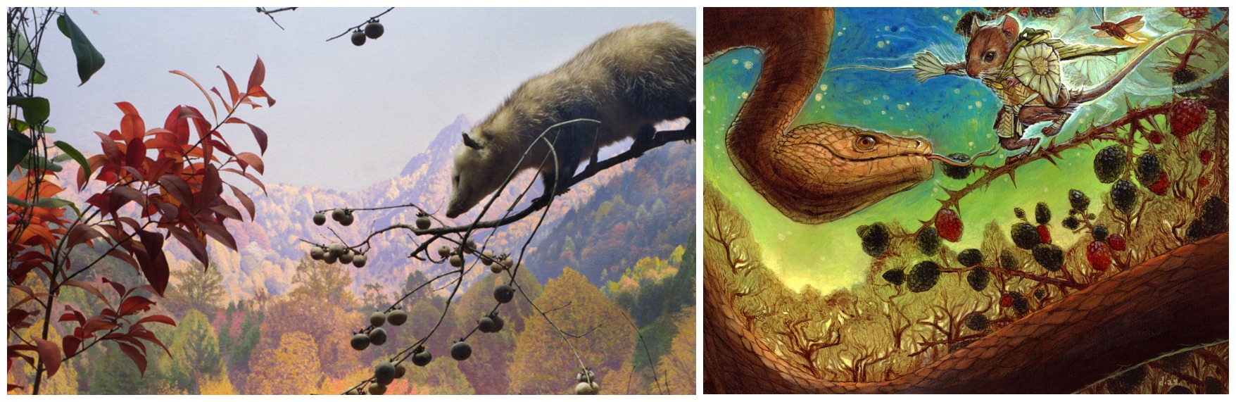 On the left, a photograph of the diorama of the opossum from the American Museum of Natural History. On the right, a painting of a mouse treading along a tree branch with a snake eyeing it. 