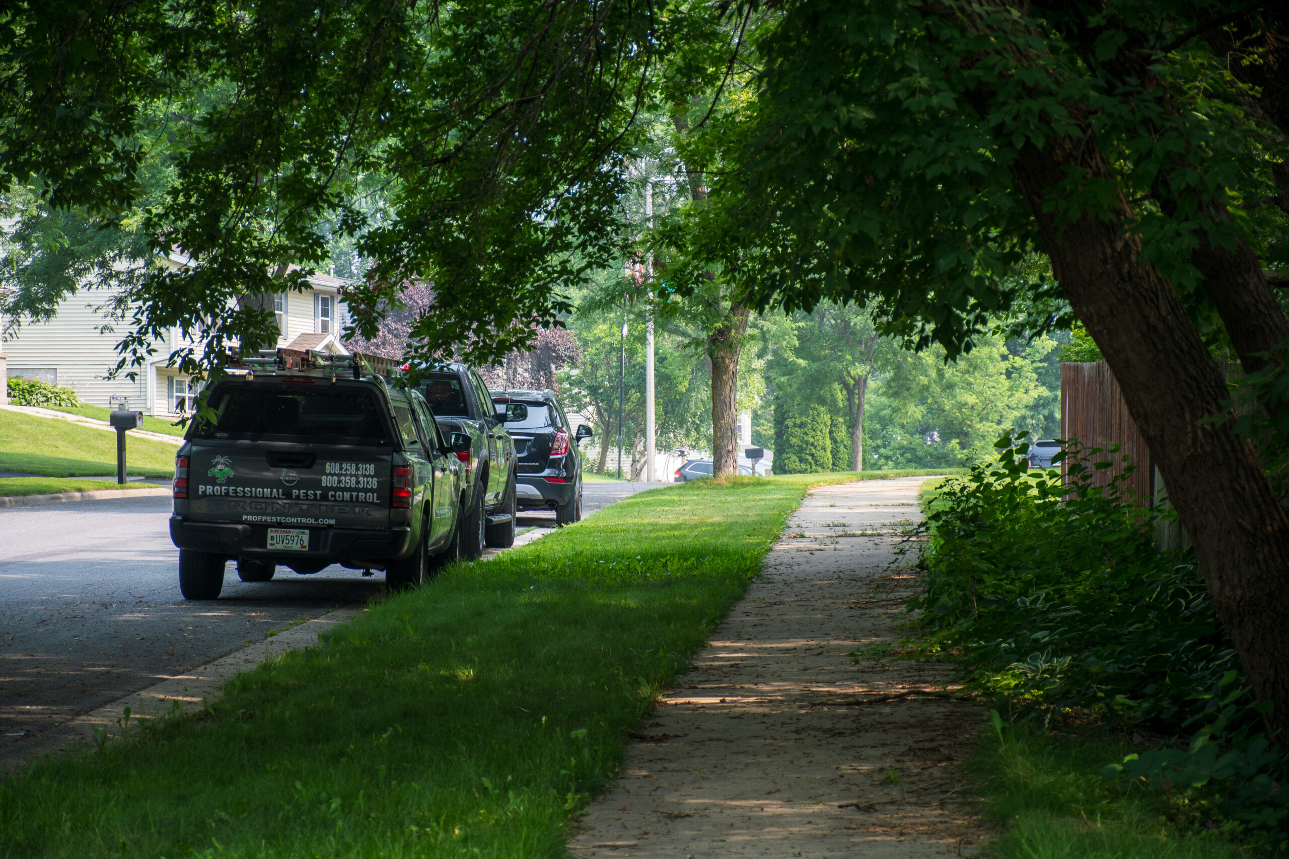 A shady sidewalk in a leafy green suburb