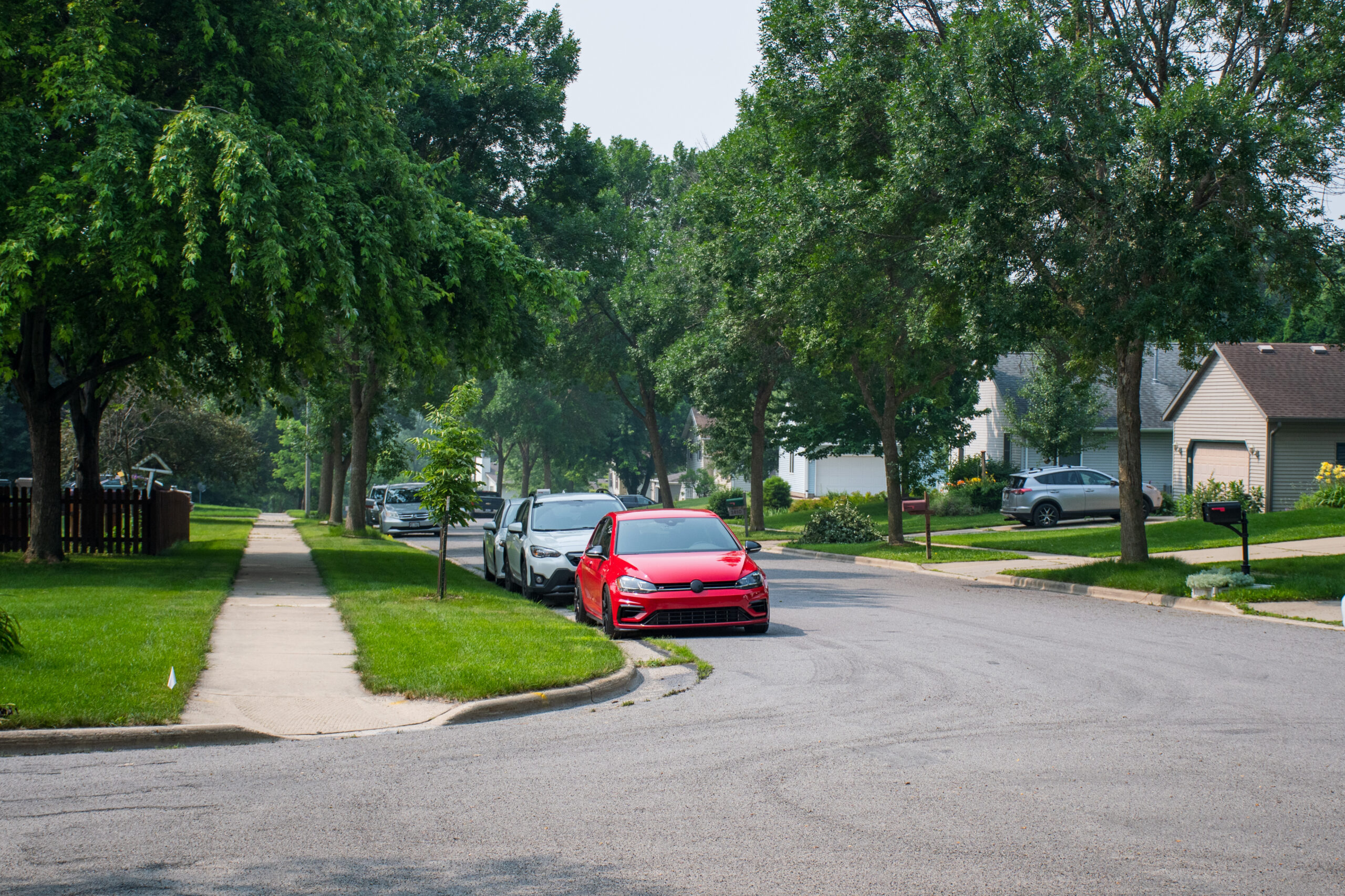 A row of cars parked in the street of a leafy, tree-laden suburb
